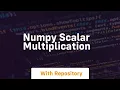numpy scalar multiplication