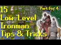 15 Oldschool Runescape Ironman Tips Tricks
