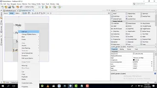 java swing netbeans tutorial 13 Radio Buttons