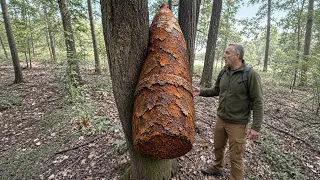 Эта Находка Испугала Шокировала Весь Мир! Топ 50