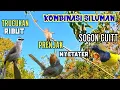 Download Lagu The Enticing Sound of the Most Effective Small Bird Combination of Noisy Trucukan