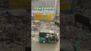 Trending Yoitubeshorts Youtubeshort Youtube Youtubechannel 