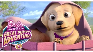 Puppy Platoon Stashes Away Barbie Her Sisters In A Great Puppy Adventure Barbie 
