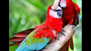 موسيقى هادئة عمر خيرت محمد وجدي 