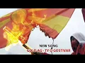 Download Lagu Gold AG - Ty o Gostivar [Audio]