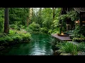 Escape to Nature: Peaceful Riverside Cabin Campfire & Birdsong