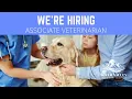 Associate Veterinarian Job Private Clinic Hiring