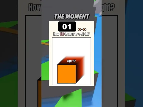 How Old Is Your Vision? Part 5 😱