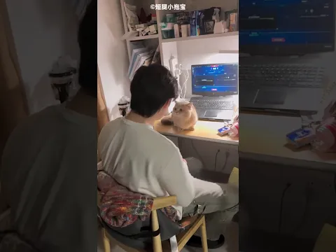 Keeping cats was strictly prohibited 😲