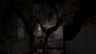إنسان لقى نفسه فيك من بعد توهانه     خالد الصيفي  وردة الجزائرية  قال ايه بيسألوني  حالات واتس دندنها