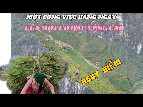 Download MP3 Một Chuyến Cắt Cỏ Bò - Của Em Mỷ Đi Trên Vách đá - Nguy Hiểm Nhất Việt Nam  / MỶ VLOG