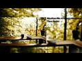 Tiara Andini - Maafkan Aku #TerlanjurMencinta [Official Music] Lirik