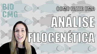 Como fazer uma análise filogenética? Aprenda as etapas para construir um cladograma.