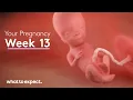 13 Weeks Pregnant - What to Expect