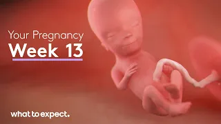 13 Weeks Pregnant - What to Expect