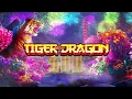 Tiger and Dragon Fortune Awaits