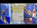 Lagu Japanese koi import day what else have we got in the boxes 🤩#koi #fish #pond #koifish 