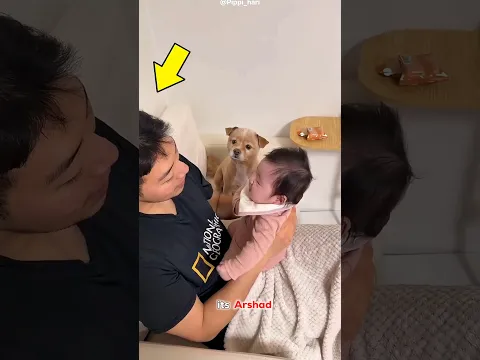 This Puppy Got Emotional Seeing The Baby #shortsvideo