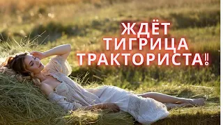 Ждёт Тигрица Тракториста Озорные частушки 