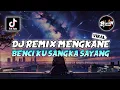 Download Lagu DJ REMIX MENGKANE BENCI KU SANGKA SAYANG REMIX VIRAL TIKTOK TERBARU