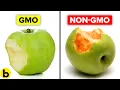 Download Lagu Genetically Modified Foods and Their Pros And Cons