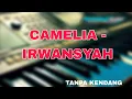 Download Lagu Camelia ( sudah janganlah menangis lagi....) - Irwansyah | Cover Tanpa kendang