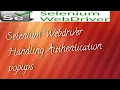 How to Handle Basic Authentication Pop Up in Selenium