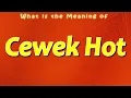 Lagu What is the Meaning of Cewek Hot