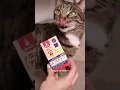 Ультра Віт Кальцій (Ultra Vit Calcium) вітамінно-мінеральні комплекси для собак та котів 140шт*0,5г, шт MODES