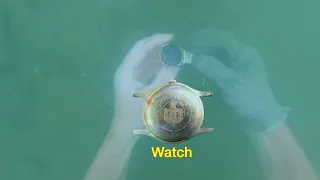 SCUBA : River Metal Detecting