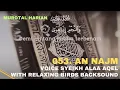 Lagu 053. An Najm voice syeikh Alaa Aqel with relaxing nature backsound