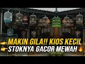 Lagu MAKIN GILA‼️ STOK BURUNG GACORAN FANTASTIS DI KIOS KECIL INI🔥 SAMPE BIKIN GELENG KEPALA😱