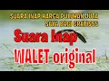 Download Lagu SUARA INAP WALET ORIGINAL - GRATIS Download Lagu SUARA INAP WALET ORIGINAL - GRATIS