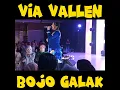 Download Lagu VIA VALLEN BOJO GALAK