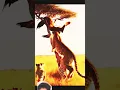 Download Lagu #wildlife #cheetah tendua #photography #ringtone