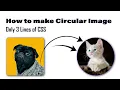 Circular Image in HTML CSS ProgrammingTT