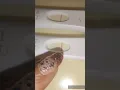 First Response Indents Hope This Helps Someone