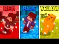 COLOR or DIE in Minecraft