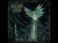 Download Lagu HORRENDUM VERMIS - Temple Ov Morbid Divinities (Full Album)