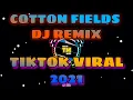 Download Lagu Cotton Fields Dj Funky Remix | TikTok Viral Remix 2021