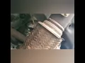 2006 Honda Odyssey P0141