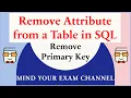 Remove Attribute Primary Key from a Table in SQL Database DROP Command Relational DBMS
