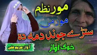 Pashto New Mor Nazam Stray Jond Dama Ye Mory By Maryam Ali Mornazam Pashtonaat Pashtonaat 