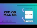 OpenFOAM ParaView on MacBook Air M4 Running a Test Case CFD Visualisation SimCodeMedia