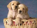 It takes two - Marvin Gaye & Kim Weston