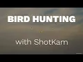 Download Lagu Perburuan Burung | Difilmkan dengan ShotKam Gen 3 Download Lagu Perburuan Burung | Difilmkan dengan ShotKam Gen 3