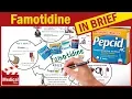 Famotidine Pepcid Uses Dosage Side Effects Contraindications and Some Advice