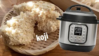 HOW TO MAKE RICE KOJI IN A PRESSURE COOKER fool-proof step-by-step recipe