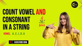 Java Program to Count Vowels and Consonants in a String Step-by-Step Tutorial