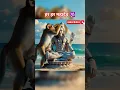 Download Lagu हर हर महादेव 🕉️🌺🙏 Shiv Bhakti power | #mahadev #bhaktishorts
